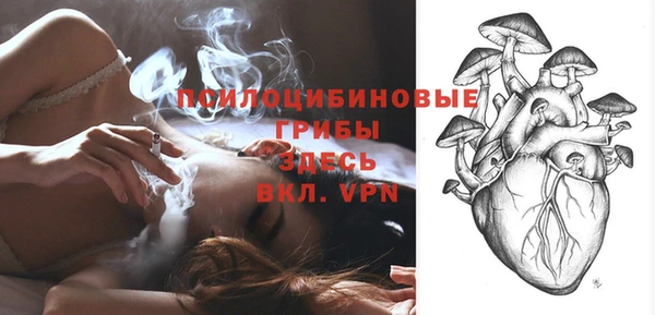 эйфоретик Абаза