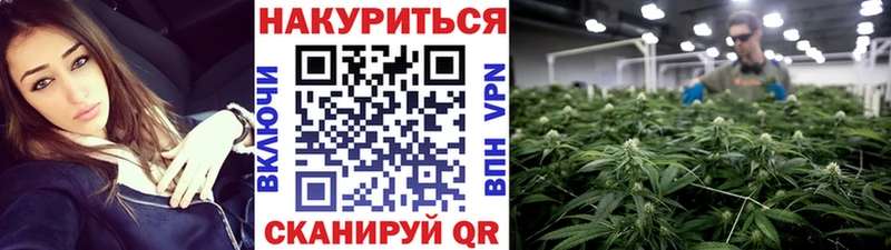 Бошки марихуана AK-47  где купить   Лангепас 